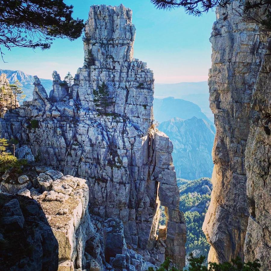 Gite D'Etape Bastide Petra Castellana Verdon Castellane Eksteriør bilde